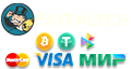 paypalych2